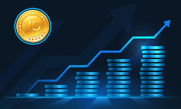 JD Coin Investment Growth